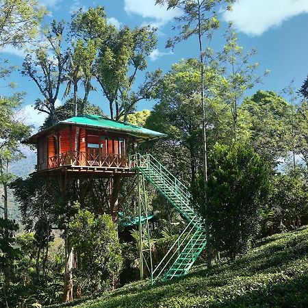 Dream Catcher Plantation Resort Munnar Chambre photo
