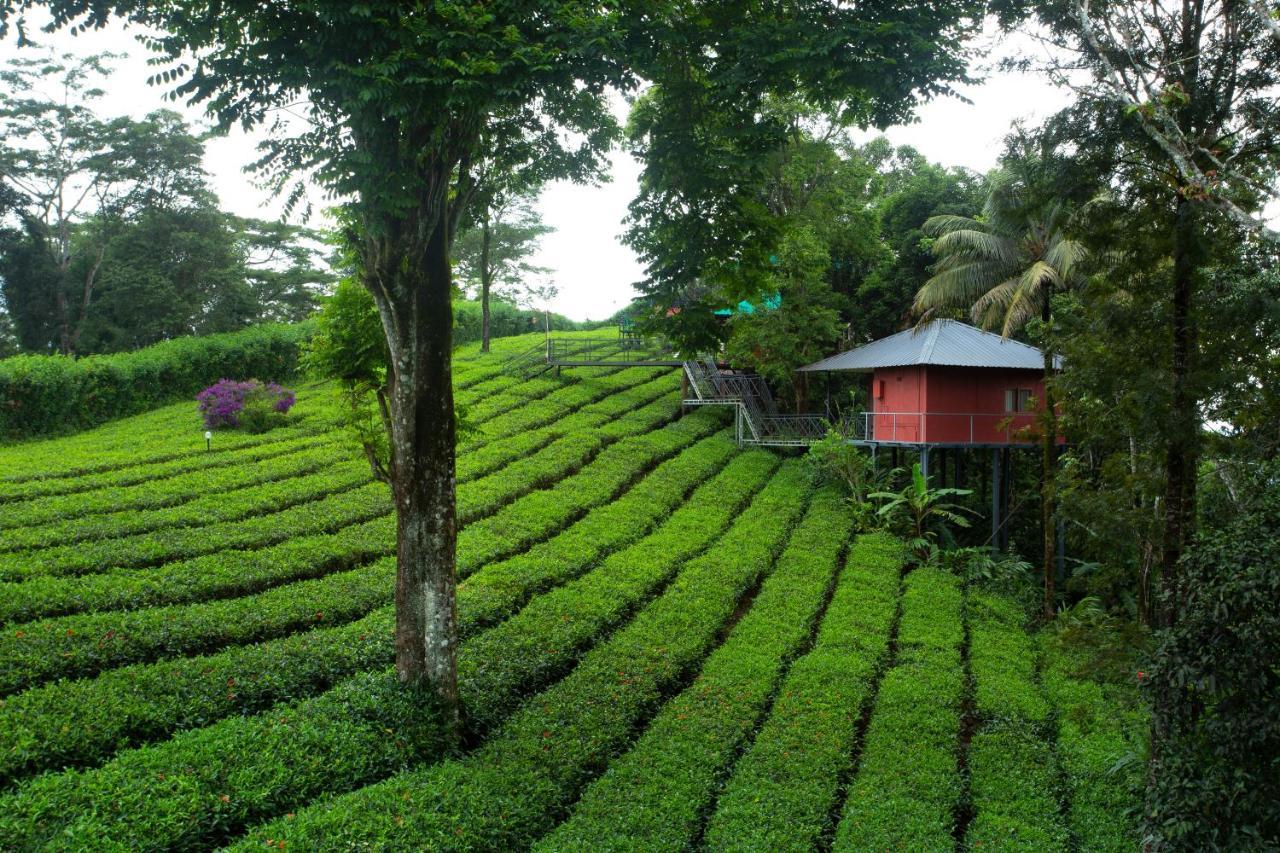 Dream Catcher Plantation Resort Munnar Extérieur photo