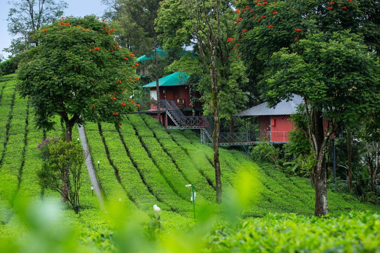 Dream Catcher Plantation Resort Munnar Extérieur photo