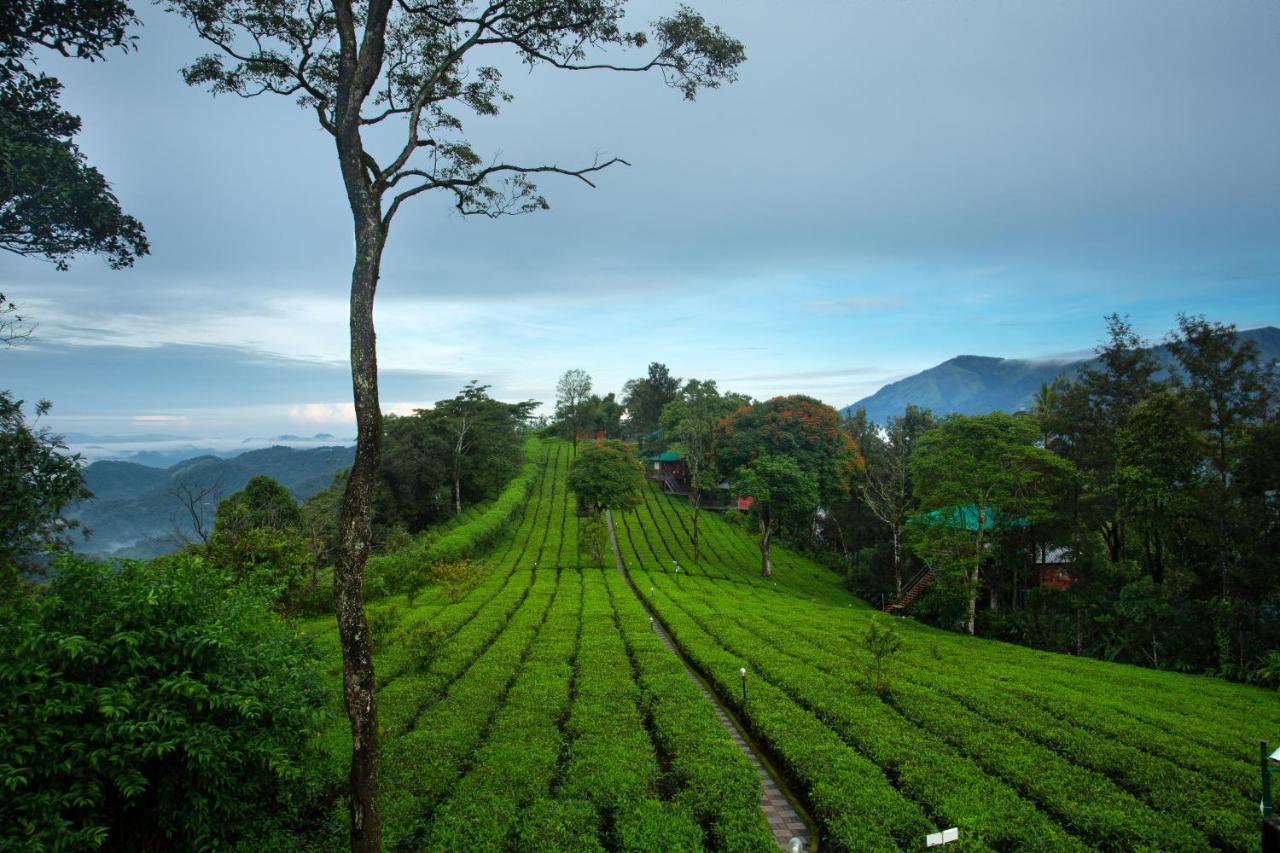 Dream Catcher Plantation Resort Munnar Extérieur photo
