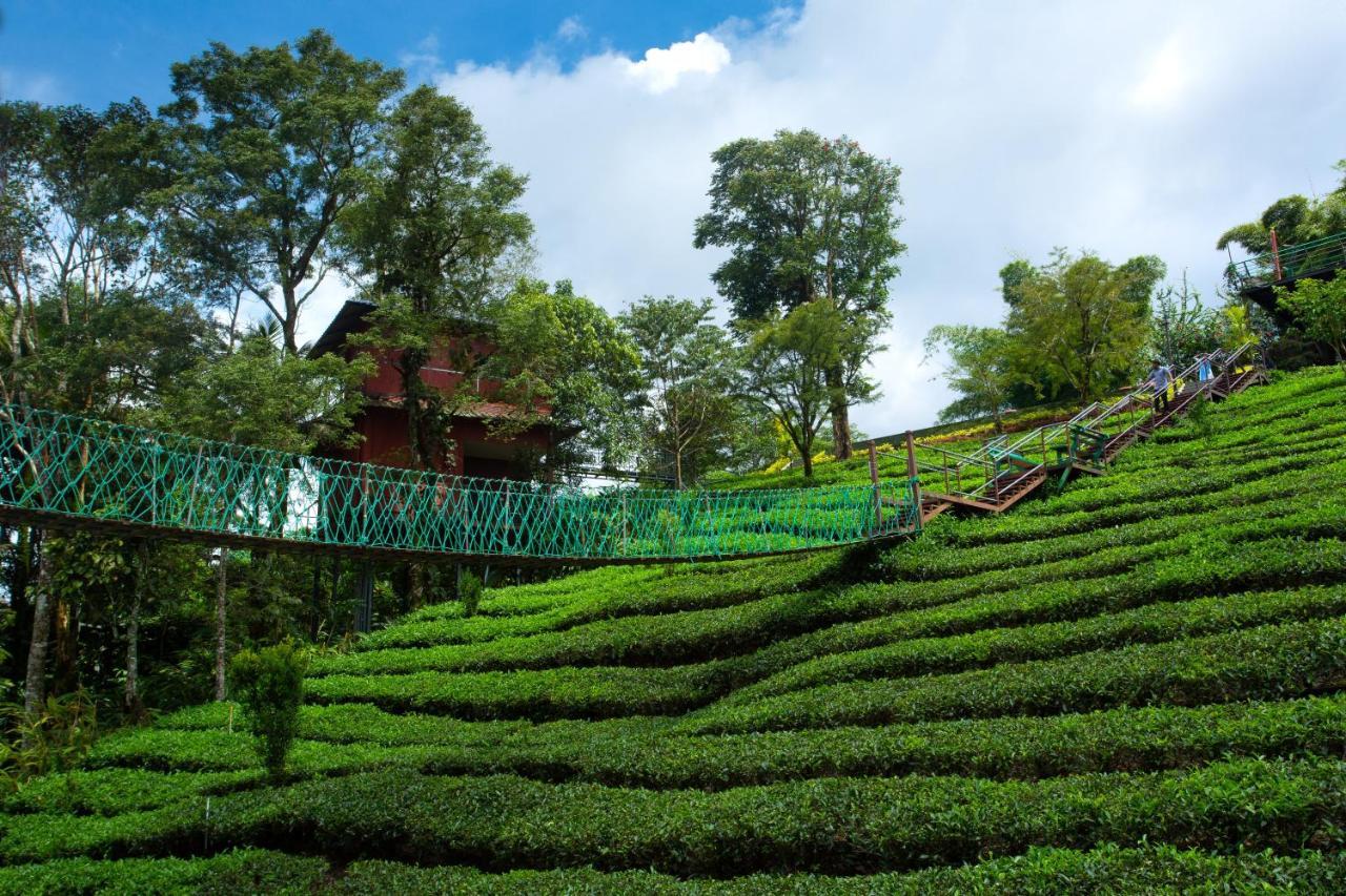 Dream Catcher Plantation Resort Munnar Extérieur photo