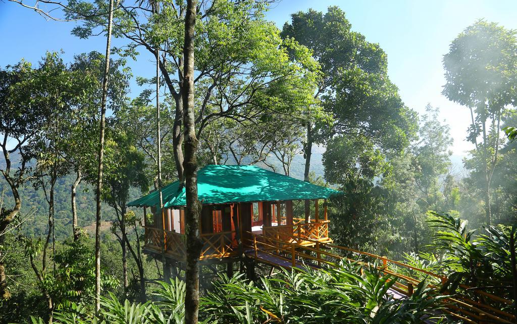 Dream Catcher Plantation Resort Munnar Chambre photo