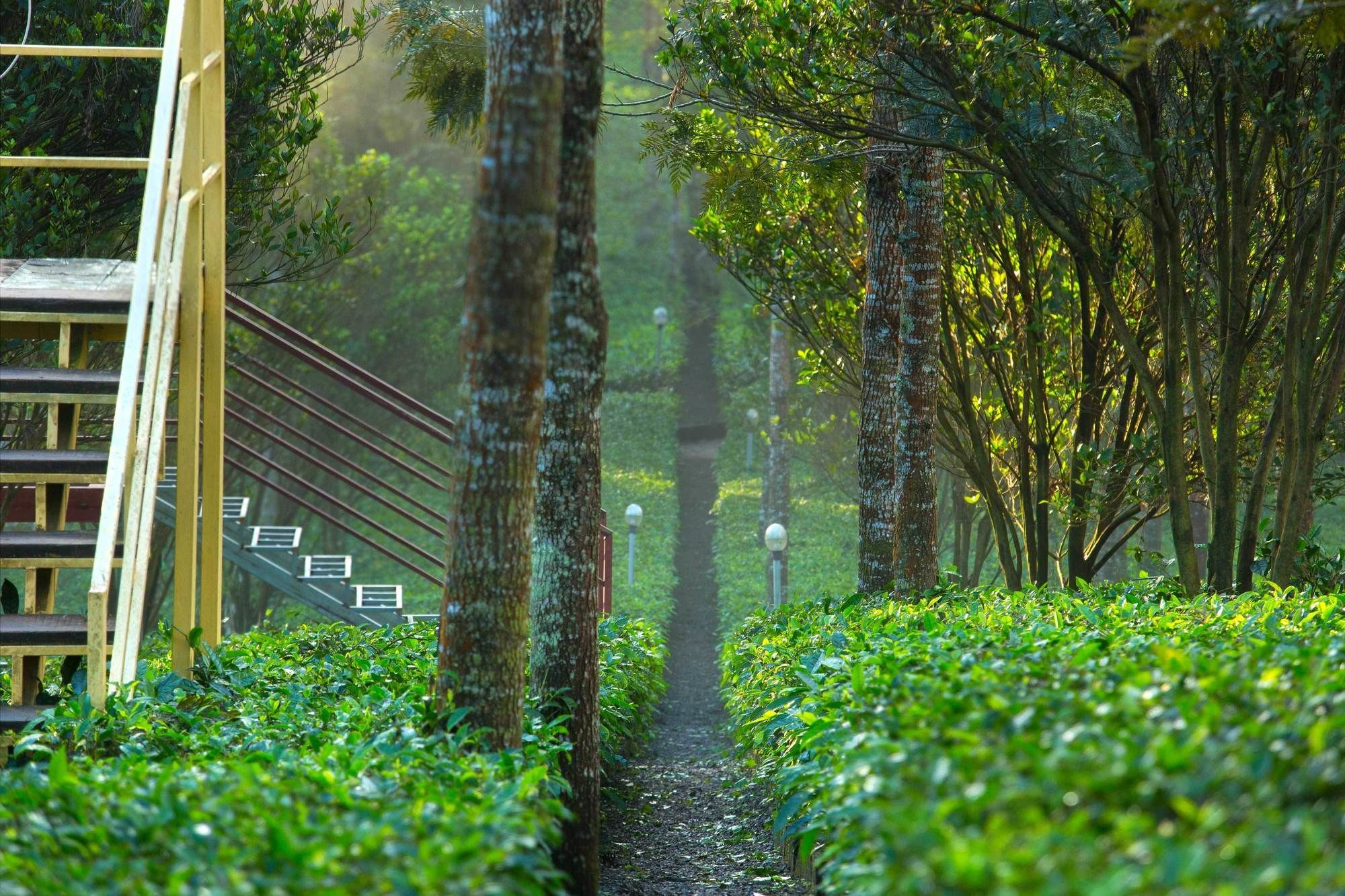 Dream Catcher Plantation Resort Munnar Extérieur photo