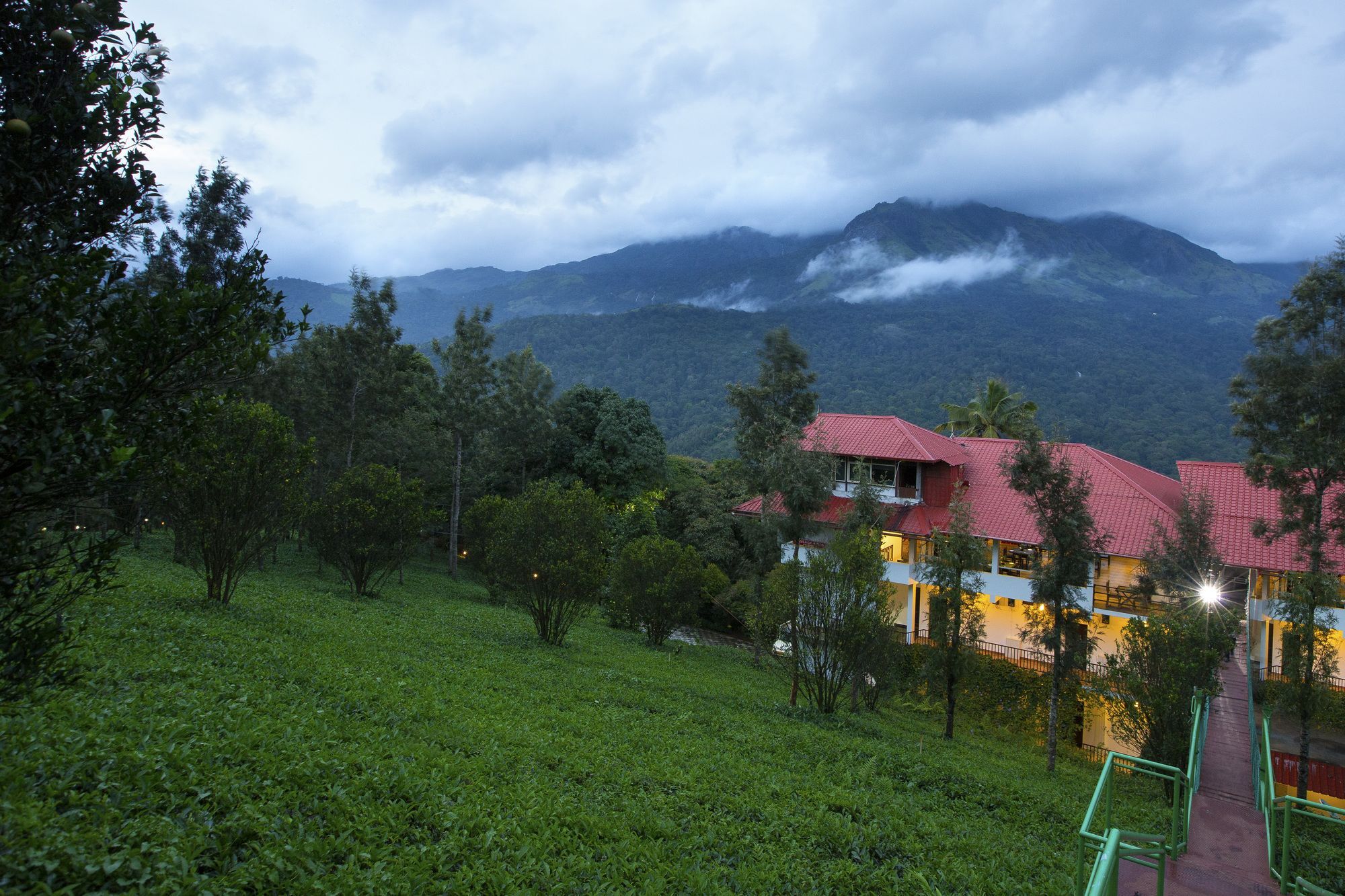 Dream Catcher Plantation Resort Munnar Extérieur photo