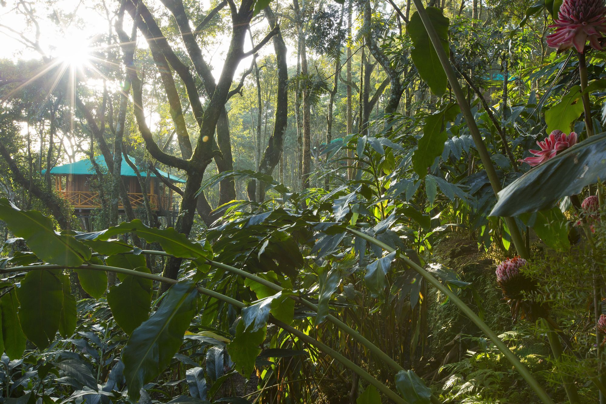Dream Catcher Plantation Resort Munnar Extérieur photo