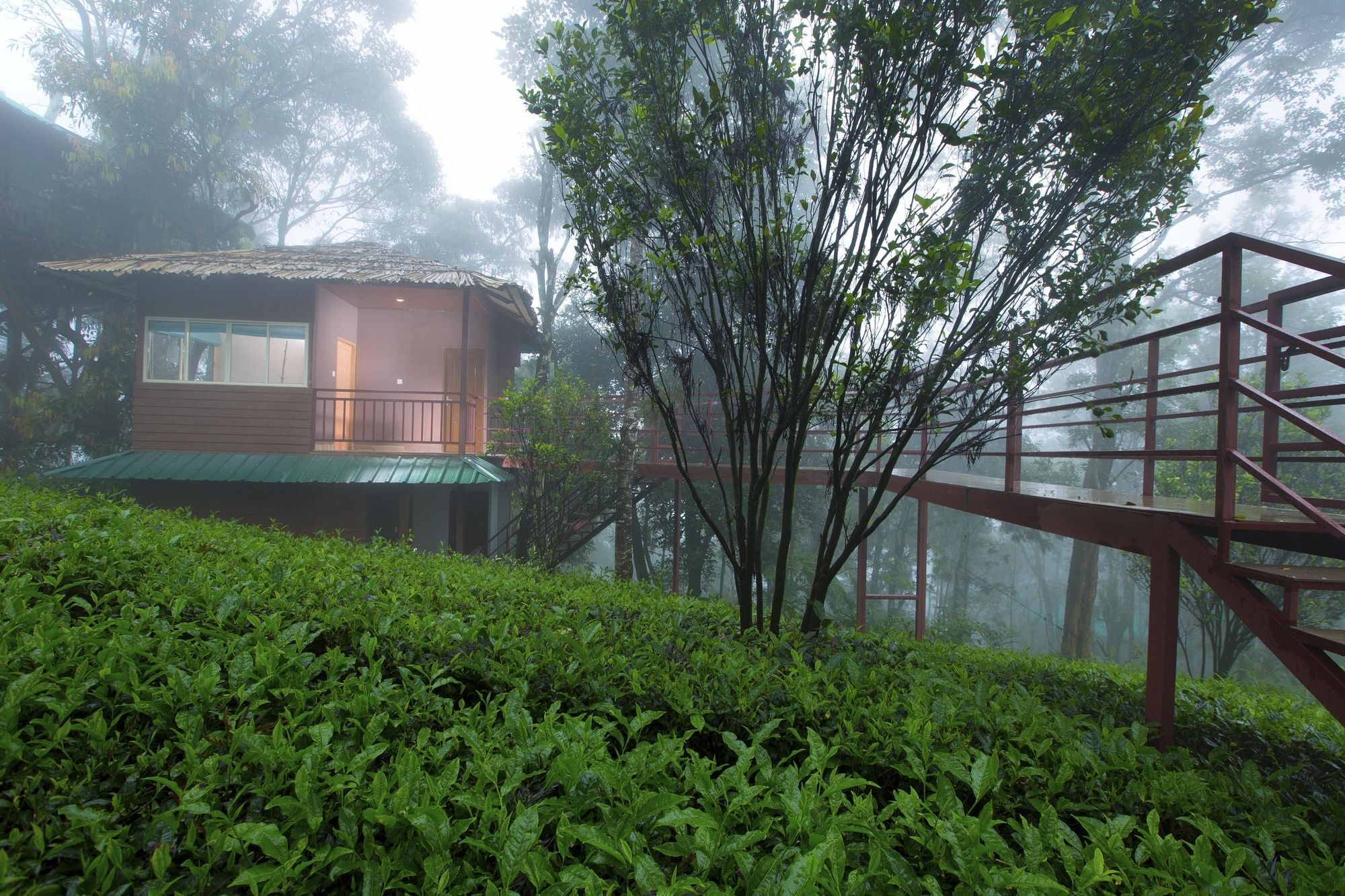 Dream Catcher Plantation Resort Munnar Extérieur photo