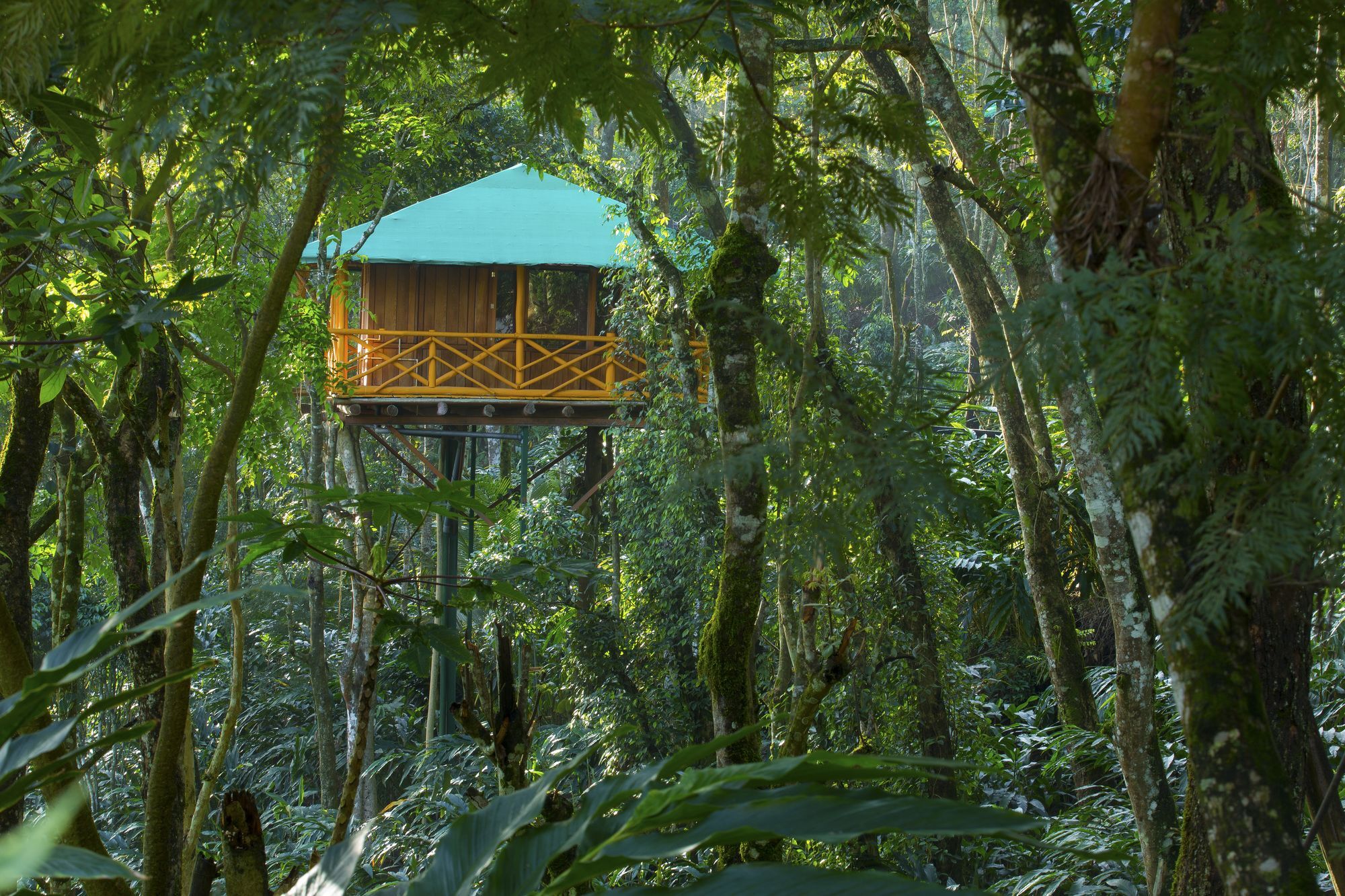 Dream Catcher Plantation Resort Munnar Extérieur photo